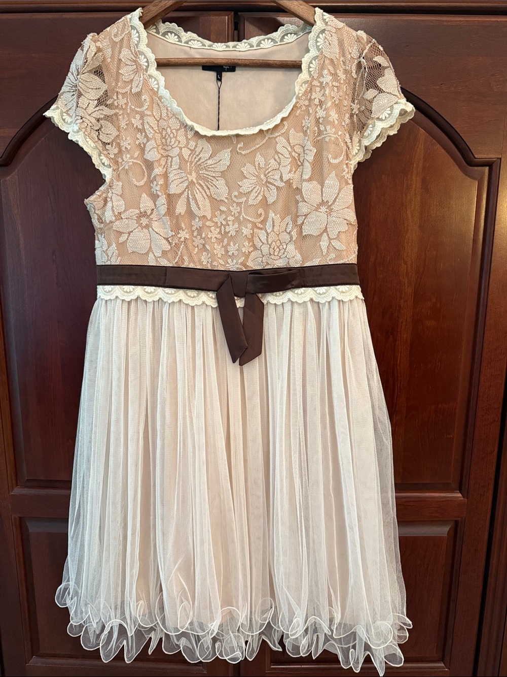 Ryu Cream and Brown Lace Tulle Party Dress Womens/Juniors L NWT